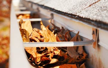 Low Common gutter cleaning companies