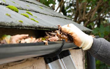 gutter cleaning Low Common, Norfolk
