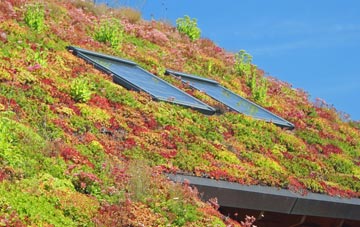 Low Common living roof systems