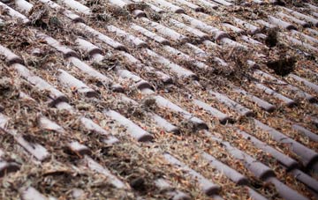 Low Common roof cleaning companies