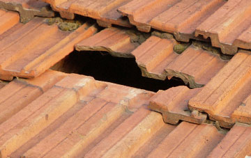 roof repair Low Common, Norfolk