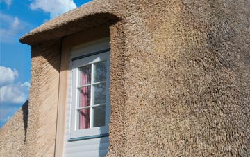 Low Common thatch roof disadvantages