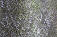 Low Common fibreglass roof work