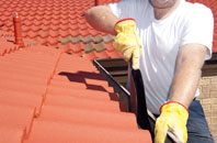 Low Common roof cleaners