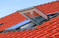 Low Common roof window