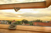 rated Low Common roof window companies